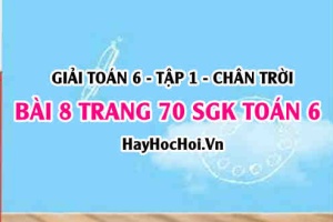 Giải bài 8 trang 70 Toán 6 Tập 1 SGK Chân trời sáng tạo